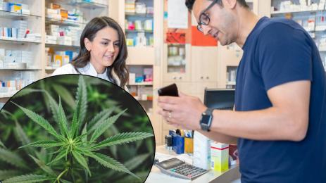 канабис медицински