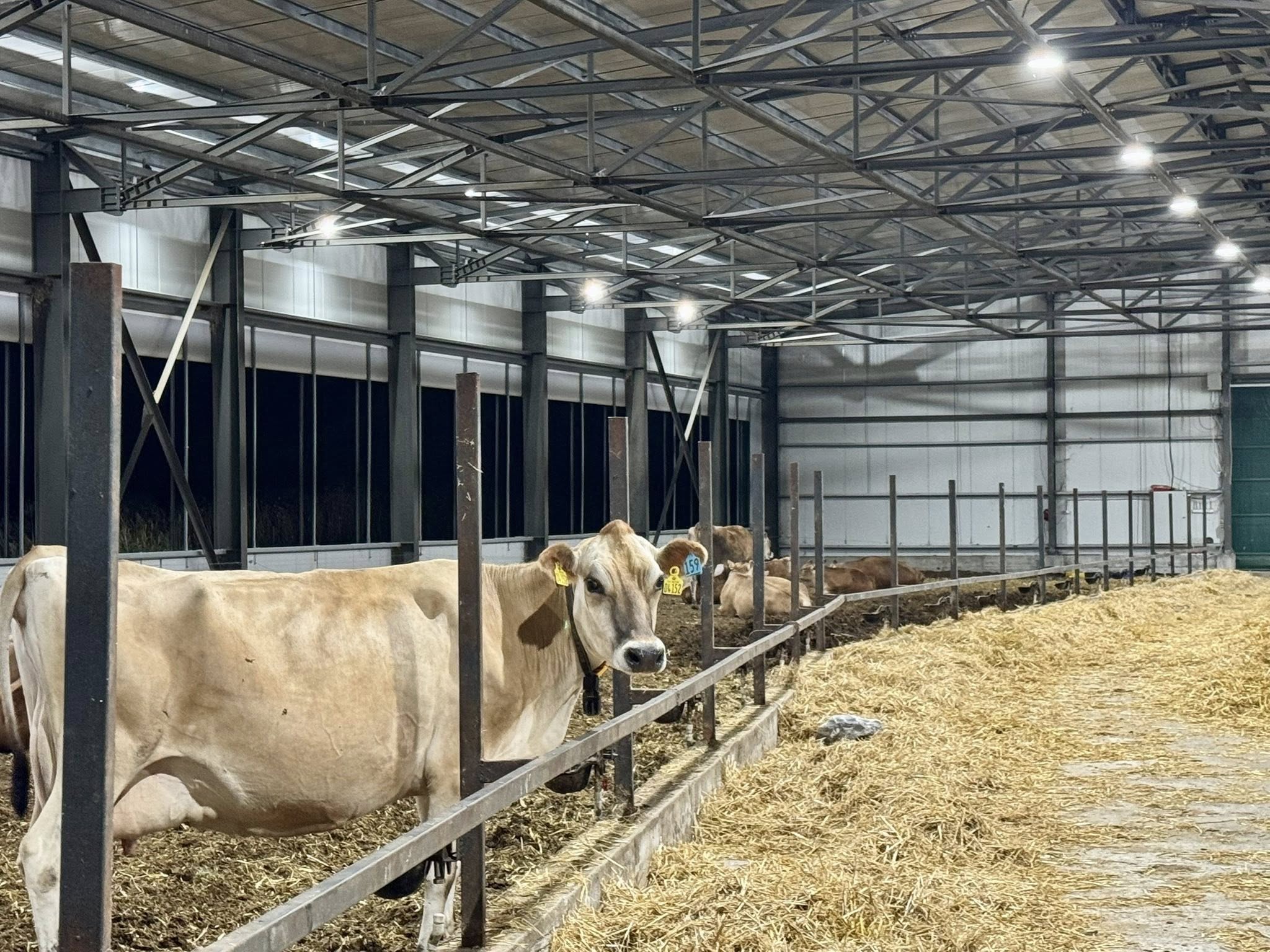 Телеграфно