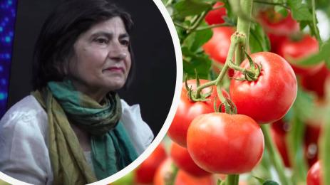 Светла Николова