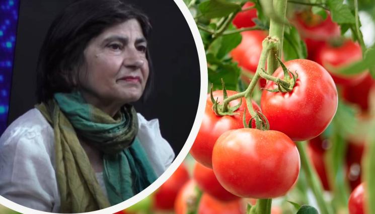 Светла Николова - Агро Телеграф: Експертът Светла Николова предупреждава: Еврорегламент затрива старите ни сортове