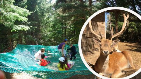 Ферма Санта Клаус