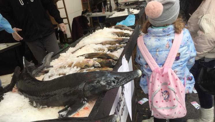 моруна - Агро Телеграф: България е световен лидер по износ на черен хайвер от моруна