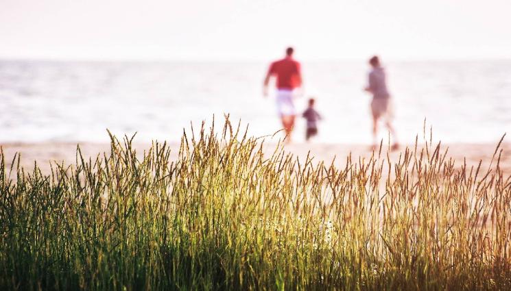 земя - ТИ ДА ВИДИШ: Европейска държава получи нова територия, туристи няма да се допускат! (СНИМКА+ВИДЕО)