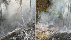 Община Костинброд обявичастично бедствено положение във връзка с възникналия голямпожар