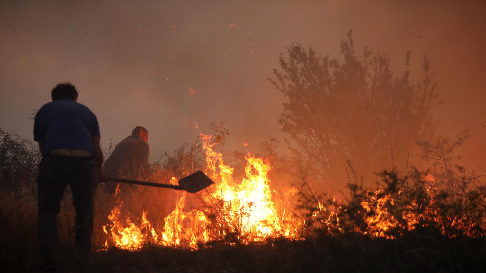 Собственици на имоти от селата Осен Понор Белица Бойчо и