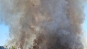 Пожарът над костинбродското село Опицвет е овладян съобщи зам министърът на