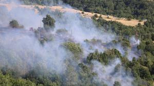 Един човек е евакуиран заради пожара в благоевградското село Марулево съобщиха