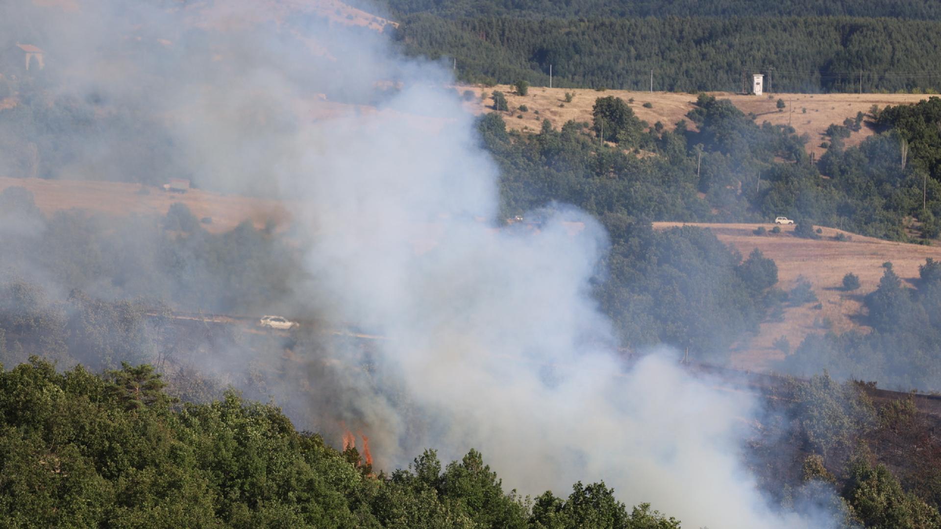 Министърът на земеделието и храните Георги Тахов свиква извънредно заседание