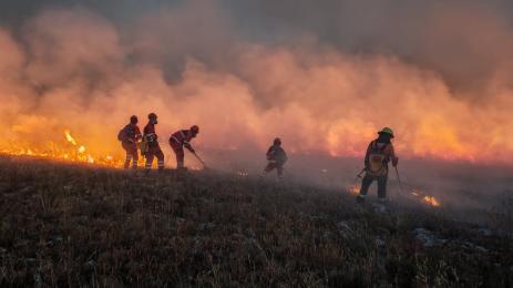 Костинброд пожар
