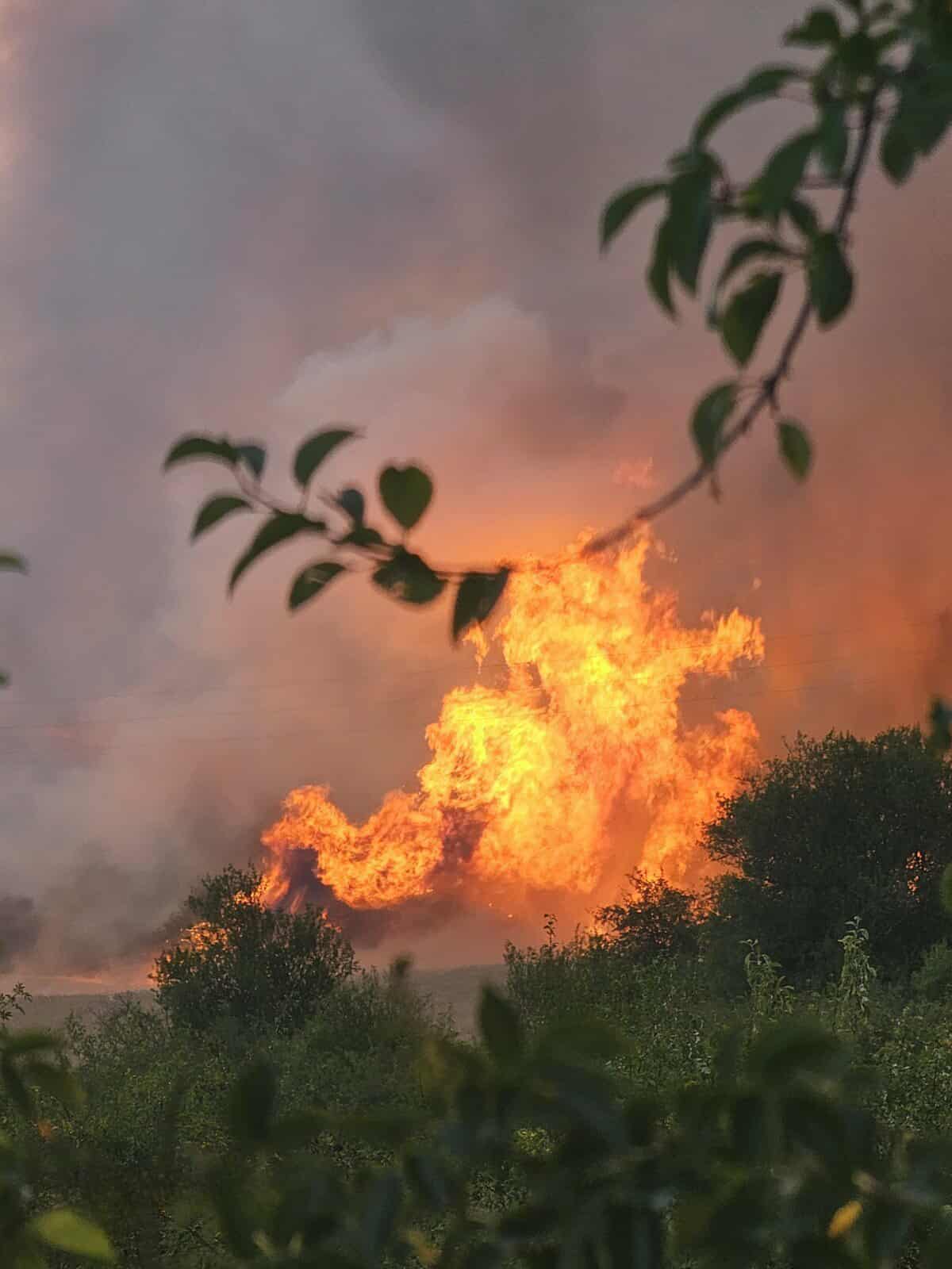 Костинброд пожар