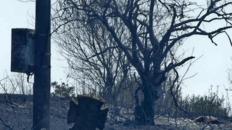 Костинброд пожар