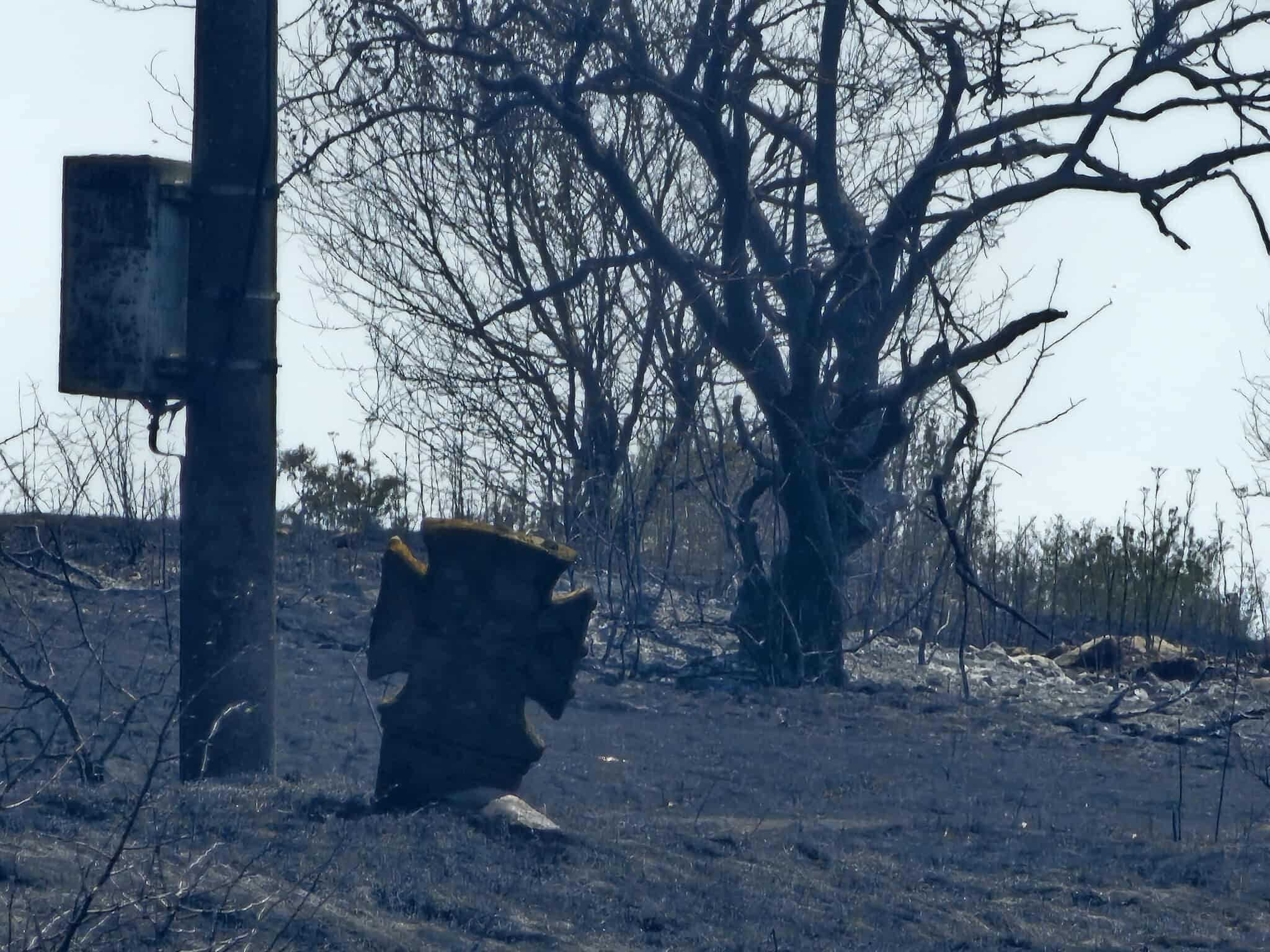 Костинброд пожар