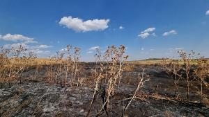 пожар Сливен