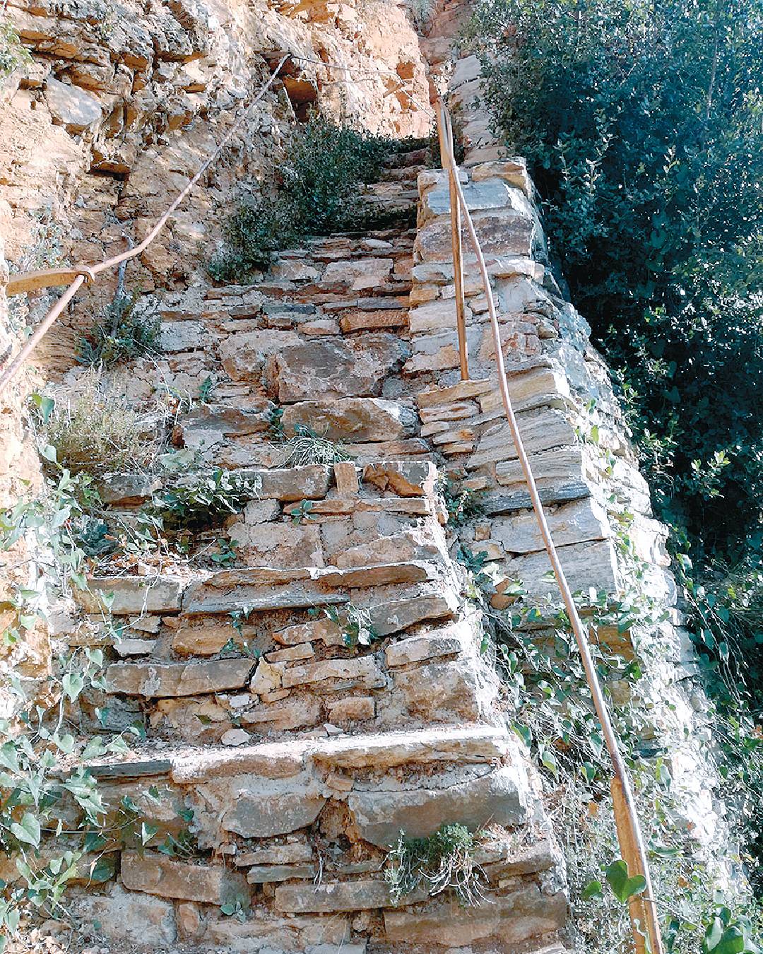 чудеса и вяра