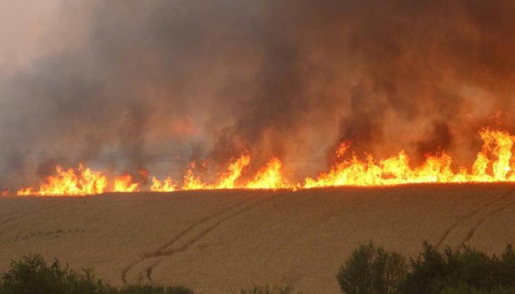 d - НОВ ОГНЕН АД: Търсят се спешно доброволци в битката с голям пожар край Белово!