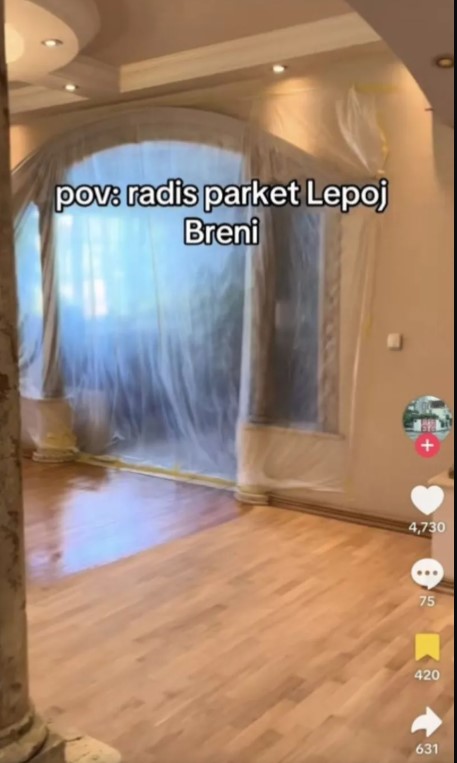 вила лепа брена