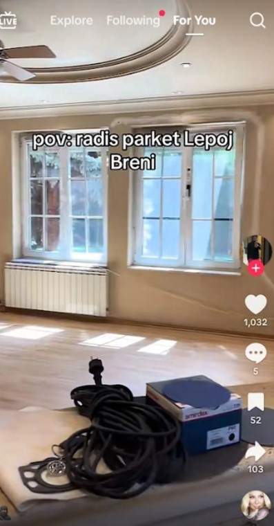 вила лепа брена