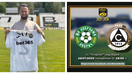 Диего Фераресо Славия