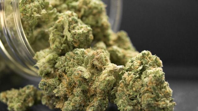 Какви са последиците от употребата на канабис в юношеска възраст