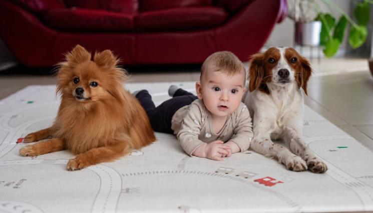 d - ПОДХОДЯЩИ ЗА ДЕЦА И ДОМАШНИ ЛЮБИМЦИ: Двустранен килим през лятото