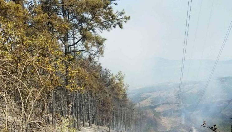 илинденци пож - БИТКА ПО ВЪЗДУХ И ЗЕМЯ: Овладяха два от фронтовете на пожара над Илинденци