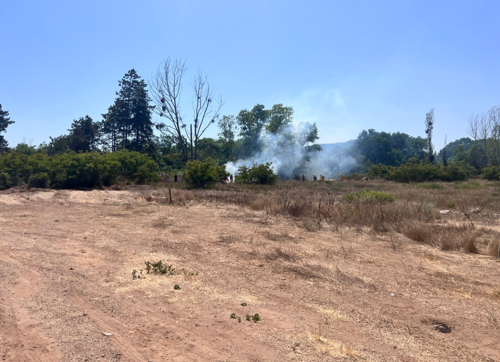 пожар Градина Созопол