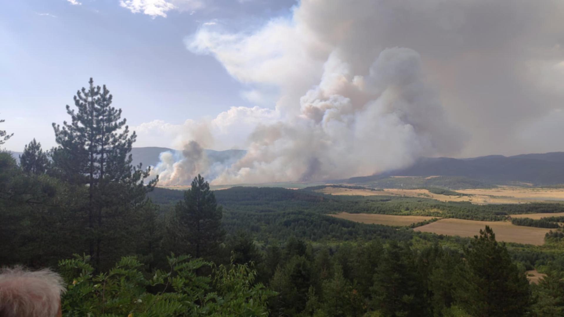 Пореден пожар пламна в страната Пламъци са обхванали района между