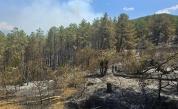 Пожарът в района на Илинденци е разширил фронта си