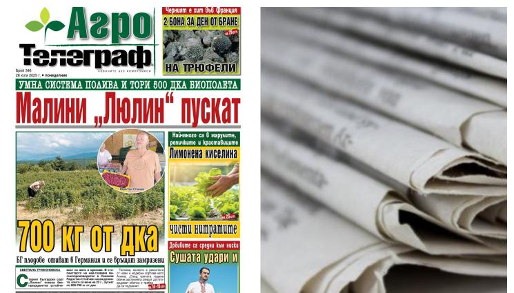 о - Ето какво ще откриете в новия брой на приложението 