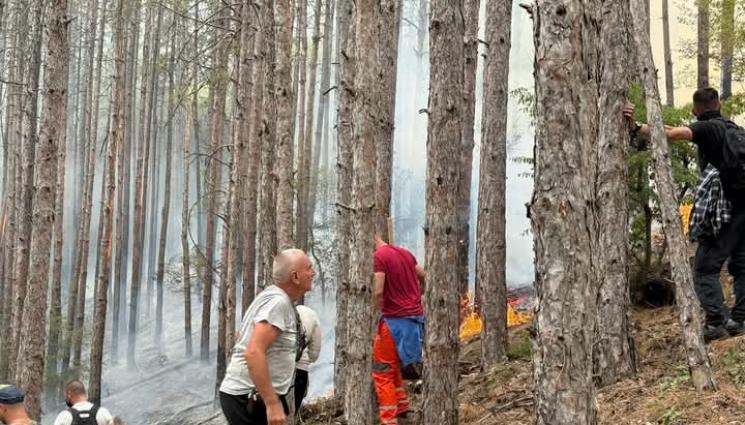 о - Пожарът над Симитли е локализиран