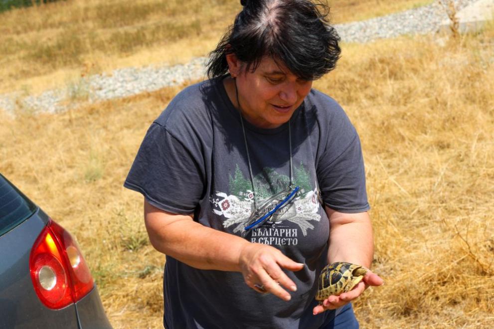  костенурка 