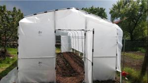 Представете си вложили сте време и усилия в градината си