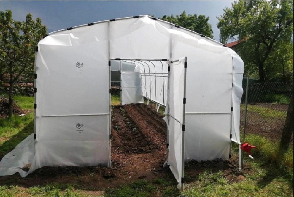 Представете си: вложили сте време и усилия в градината си,