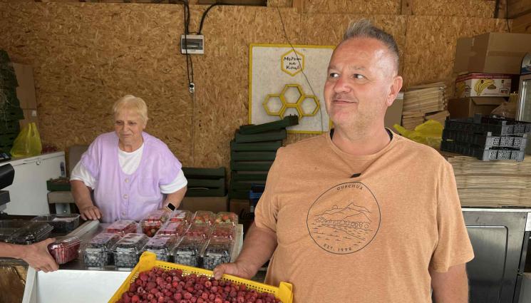 Радостин Стойчев - Агро Телеграф: Малини „Люлин“ на 22 г. пускат 700 кг от дка