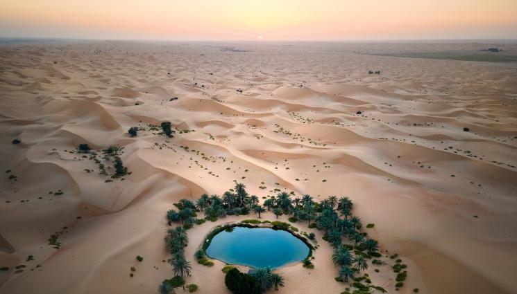 оазис - Оазисът, който помни всичко: Археолози откриха изгубен коптски град в сърцето на пустинята!