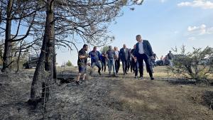 пожари Росен Желязков