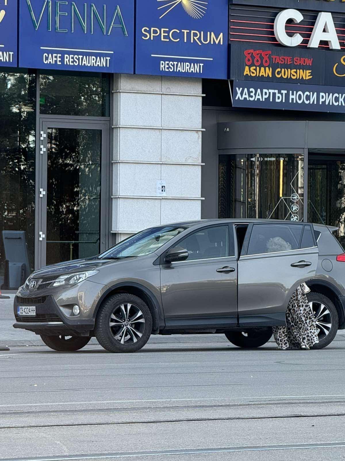 силвия кацарова