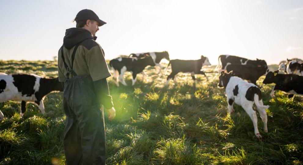 Фермер почти губи поминъка си за втори път през последните