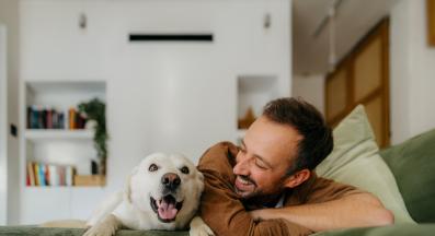 куче човек обич