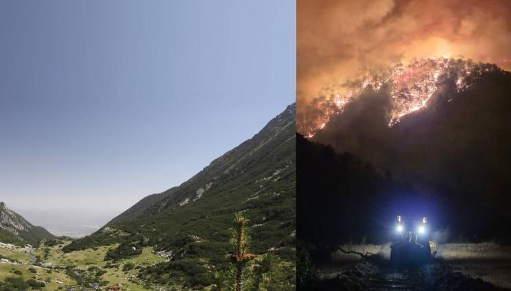 Пирин - КАТАСТРОФАЛНО: Пожарът в Пирин изпепели над 50 000 декара!