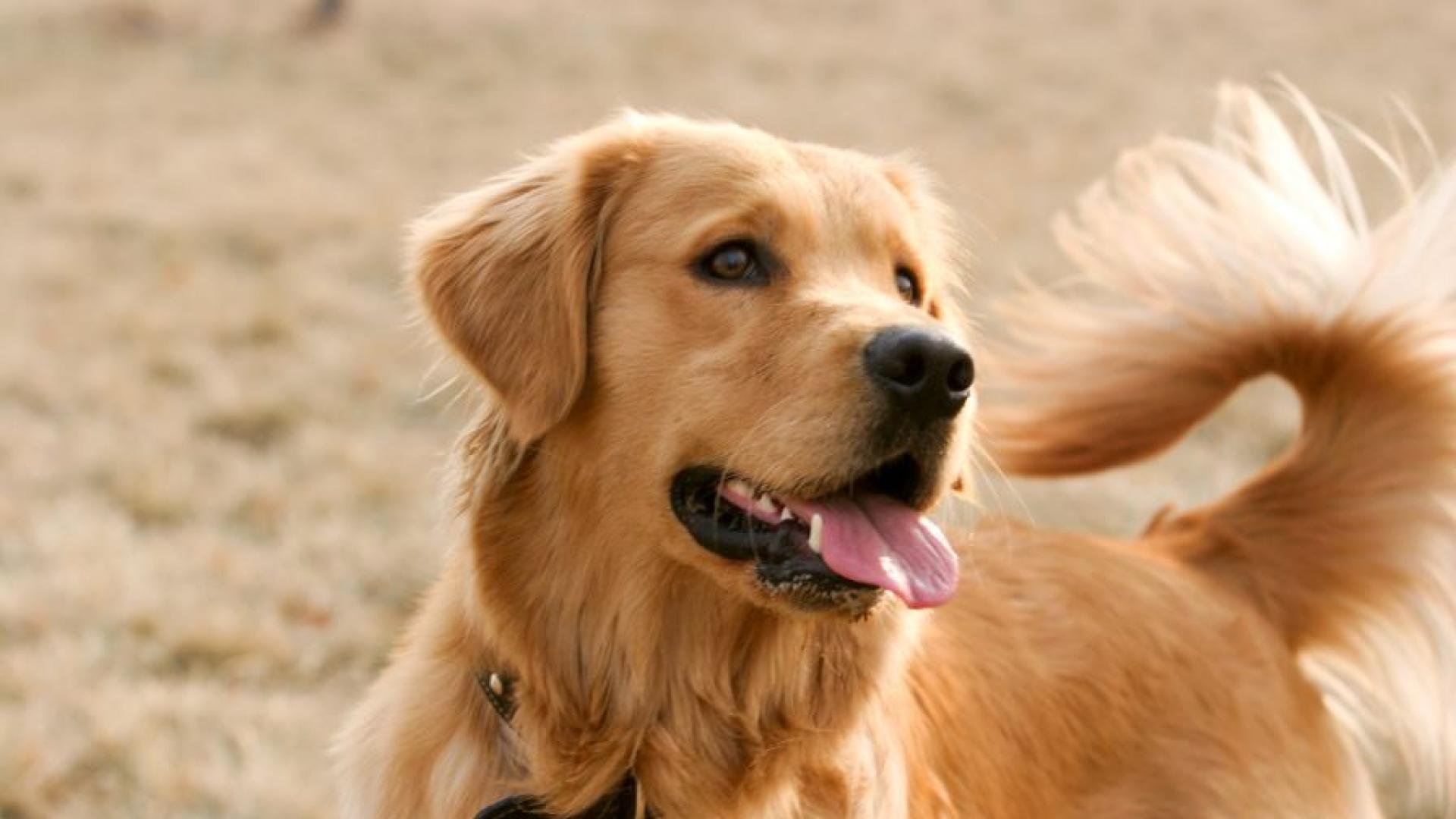 Митницата във Варна пенсионира един от най добрите си служители –