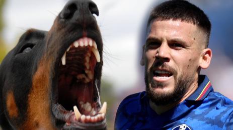 Карлес Перес куче