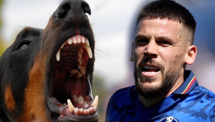 Карлес Перес куче - Лошо куче: Агресивен гръцки пес сдъвка най-свидното на новия испанец в Арис Солун