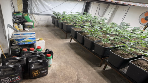 Под ръководството на Районна прокуратура – Перник се водят действия