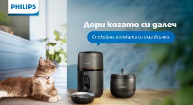 Домашна котка