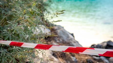 полицейска лента