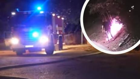 терорист Търново