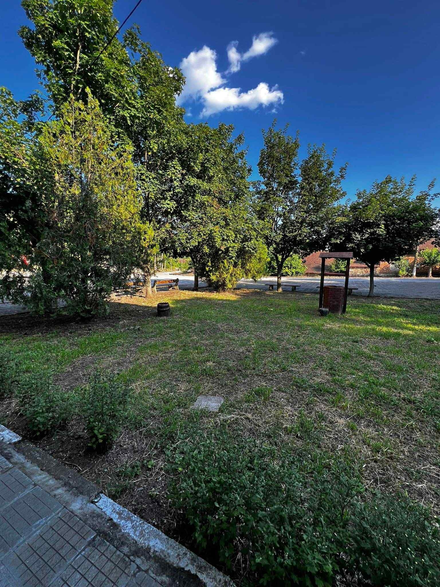 Никол Иванова