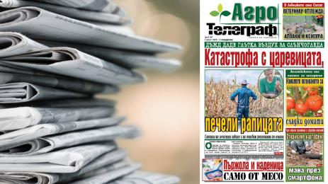 Агро Телеграф