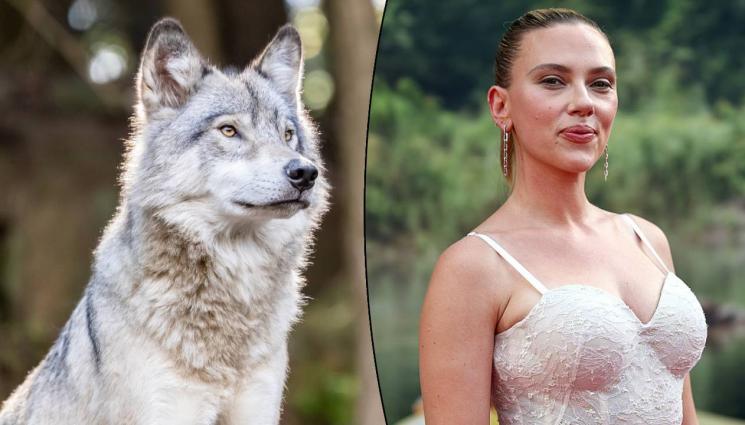 д - БЕЗ МАЙТАП: Американското Министерство на земеделието плаши вълци със Скарлет Йохансон